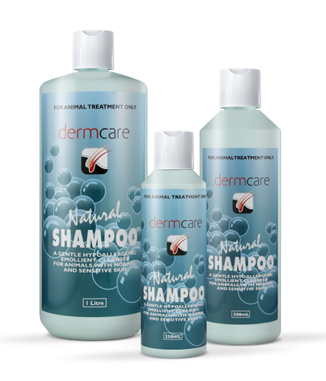 Dermcare Natural Shampoo - 250ml