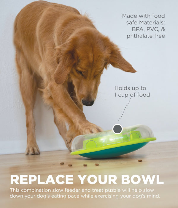 Outward Hound Dog Wobble Bowl (Level 1)