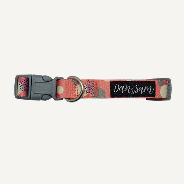 Dan & Sam Adjustable Dog Collar - Fabulous, L