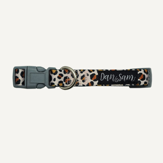 Dan & Sam Adjustable Dog Collar - Wild One, M