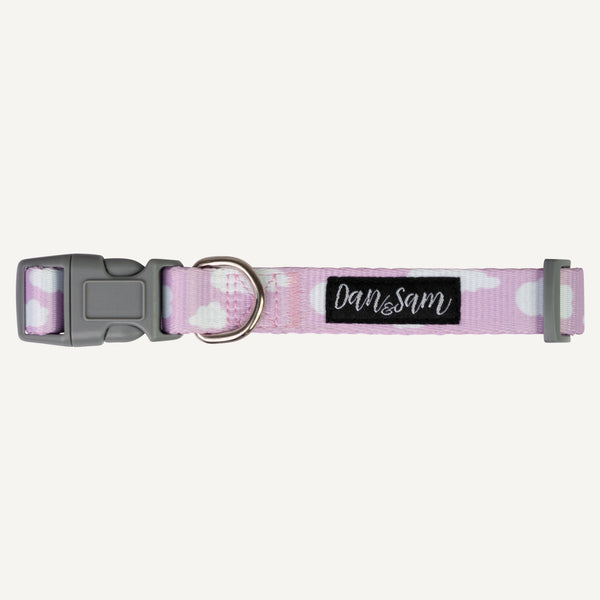 Dan & Sam Adjustable Dog Collar - Dreamer, L