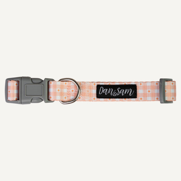 Dan & Sam Adjustable Dog Collar - Daisy Picnic, S