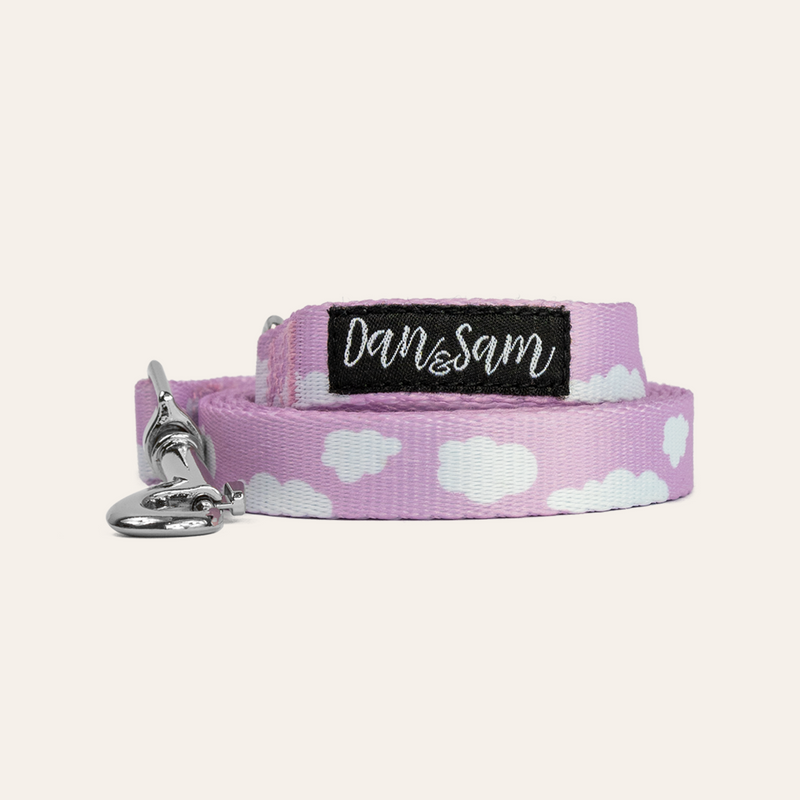 Dan & Sam Polyester Dog Lead – Dreamer, S