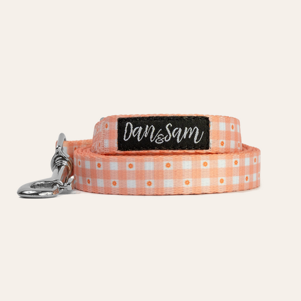 Dan & Sam Polyester Dog Lead – Daisy Picnic, L