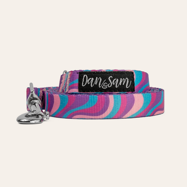 Dan & Sam Polyester Dog Lead – Disco Party, S