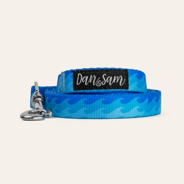 Dan & Sam Polyester Dog Lead – Coastal, L