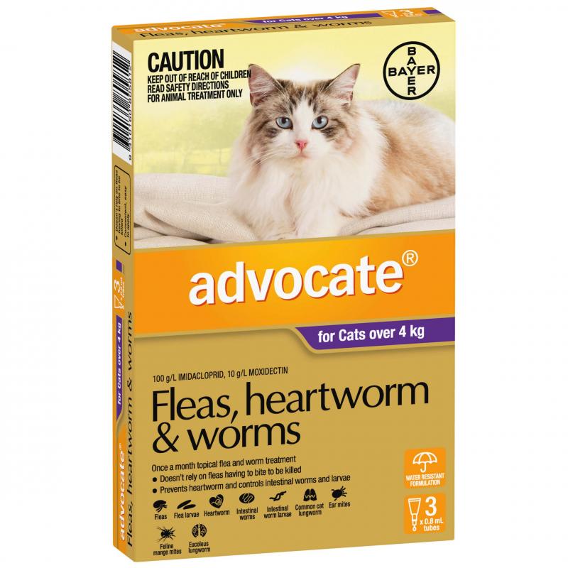 Advocate For Kittens/Cats Fleas, Heartworm & Worms - over 4kg (1 x 0.8ml Tube)