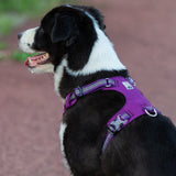 True Love Lightweight Reflective Harness - Purple, XS-1831155642560286725