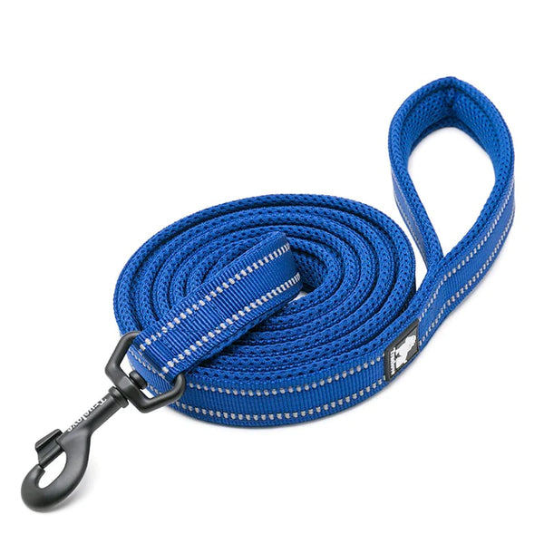 True Love Reflective Pet Leash 2m - Royal Blue, S