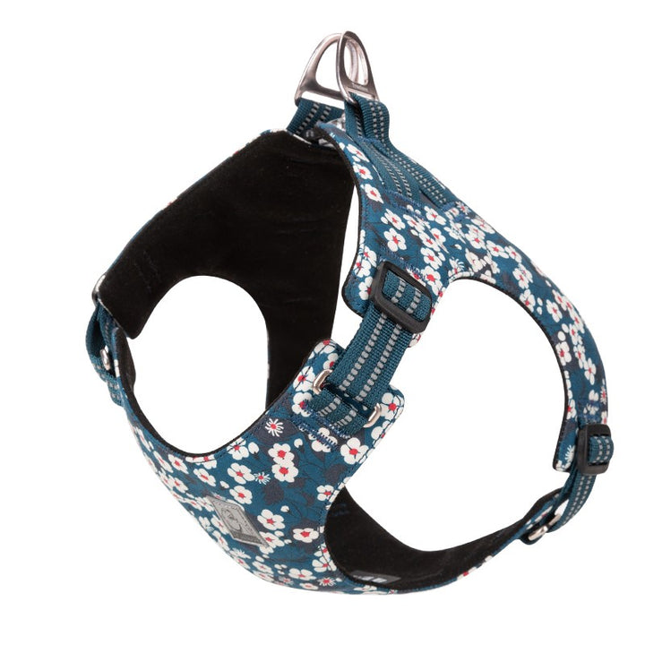 True Love Floral Doggy Harness - Blue, 2XS-1831155624537362432