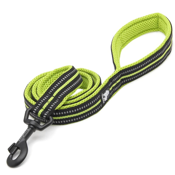 True Love Reflective Pet Leash 2m - Yellow, M