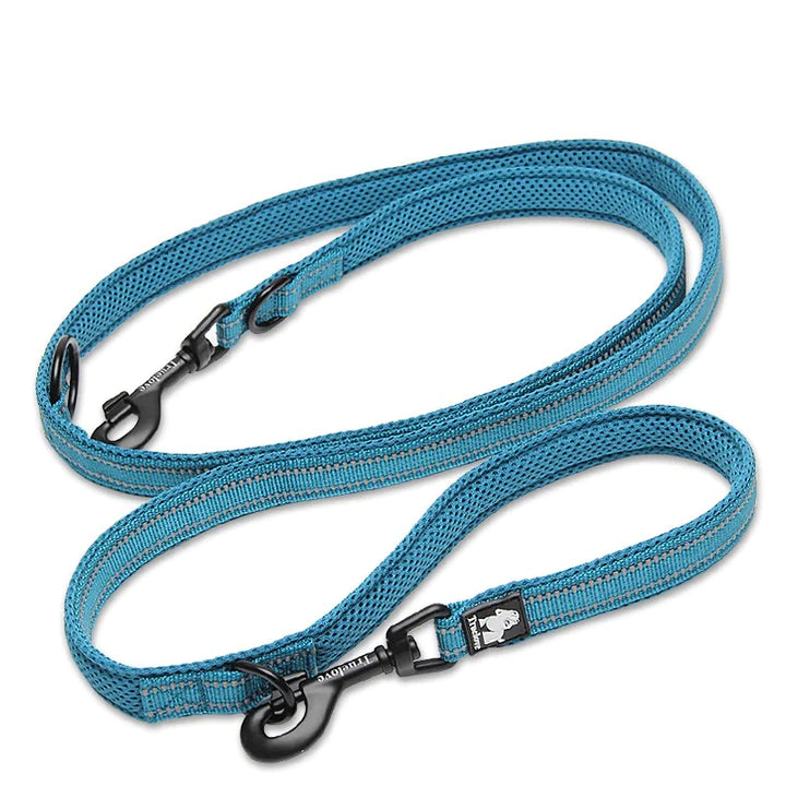 True Love Multi-Function Leash - Blue, L