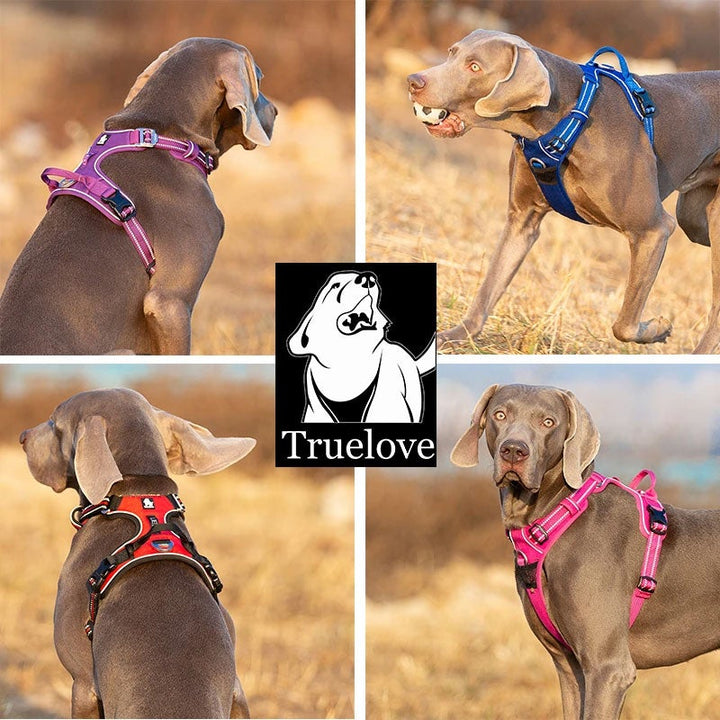 True Love No Pull Explosion Proof Dog Harness - Royal Blue, M-1831155630908510210