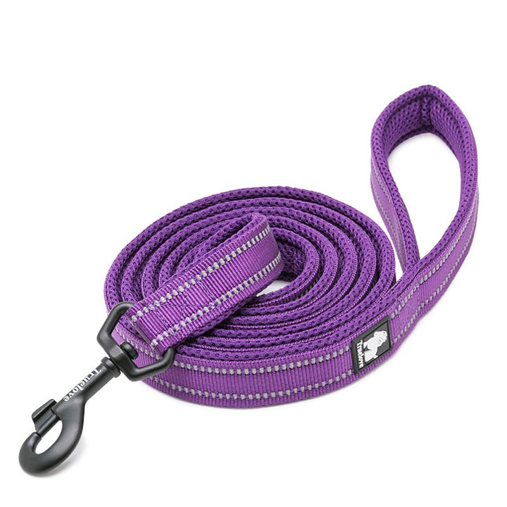 True Love Reflective Pet Leash 2m - Purple, S-1831155648352620544