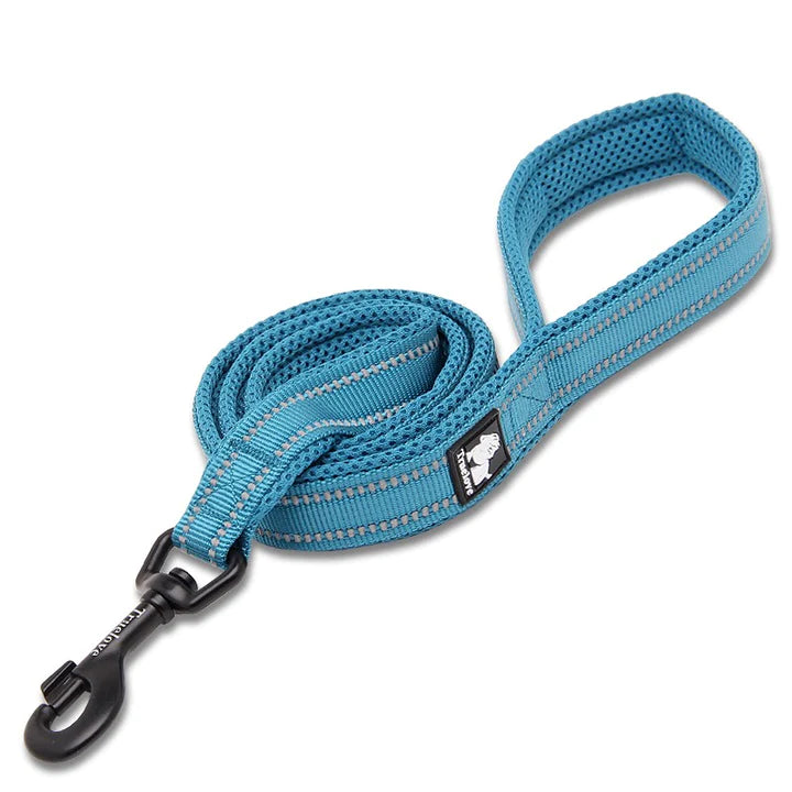 True Love Reflective Pet Leash 2m - Blue, XS