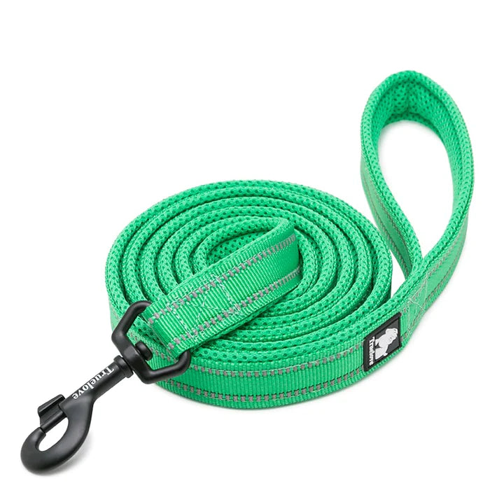 True Love Reflective Pet Leash 2m - Green, XS