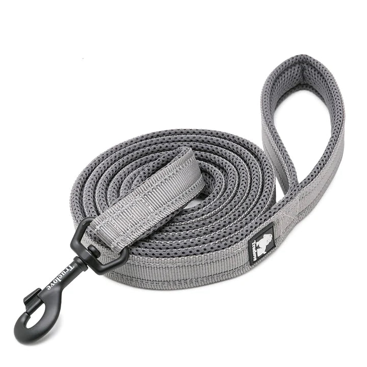 True Love Reflective Pet Leash 2m - Grey, XS