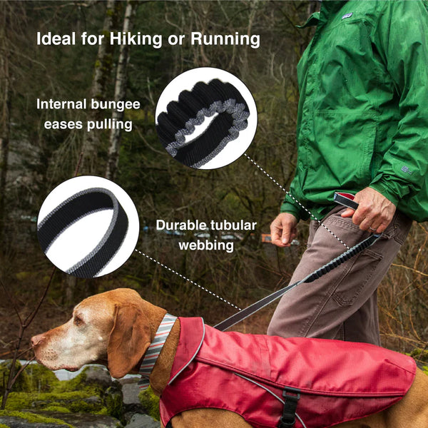 Kurgo Springback Hiking & Running Dog Leash