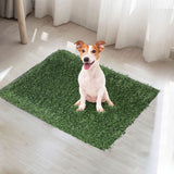 PaWz Grass Potty Dog Pad Training Pet Medium-1831592867643133959