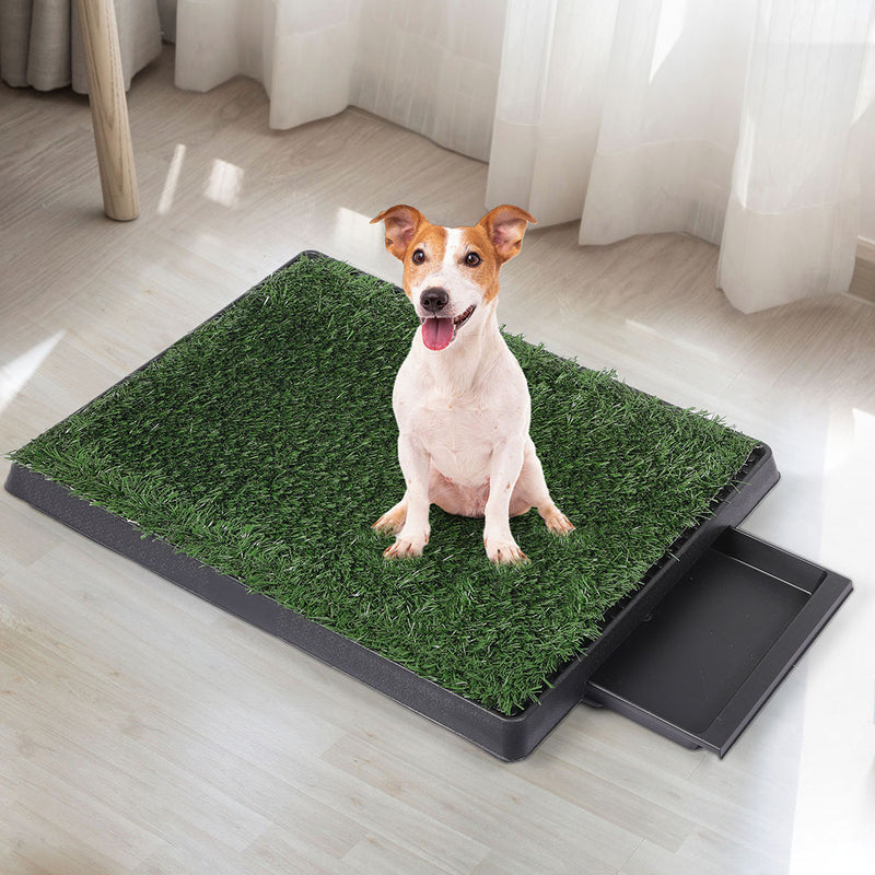 PaWz Indoor Dog Pet Grass Potty Training-1831593099290349570