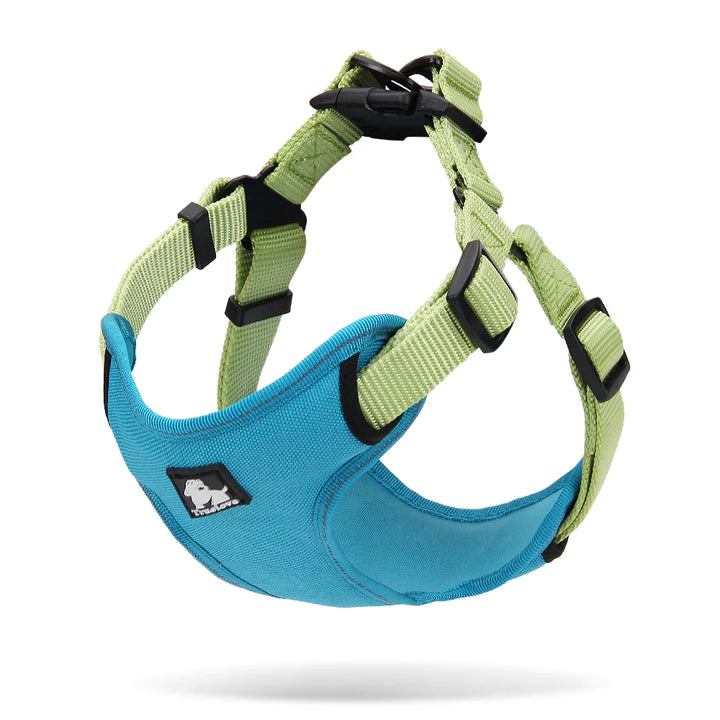 True Love Urban Dog Harness - Green, M