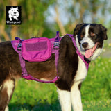 Whinhyepet Military Harness - Purple, M-1831155663376617475