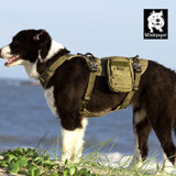 Whinhyepet Military Harness - Army Green, L-1831155663099793411