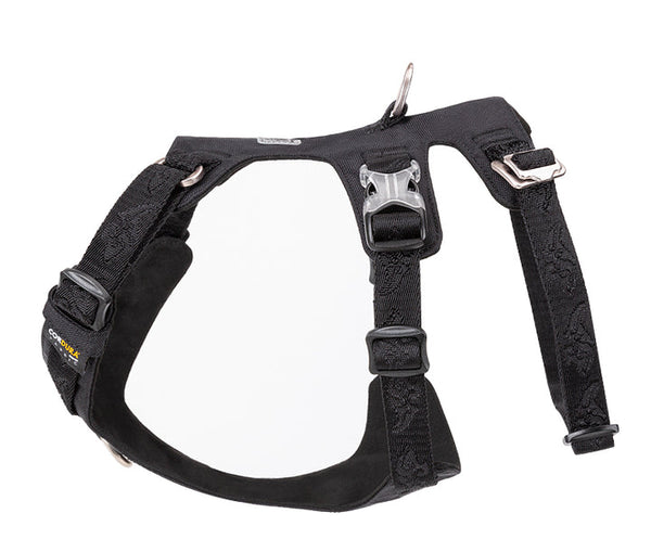 Whinhyepet Dog Harness - Black, XS-1858680822958264322