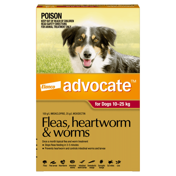 Advocate For Dogs Fleas, Heartworm & Worms - 10kg to 25kg (1 x 2.5ml Tube)