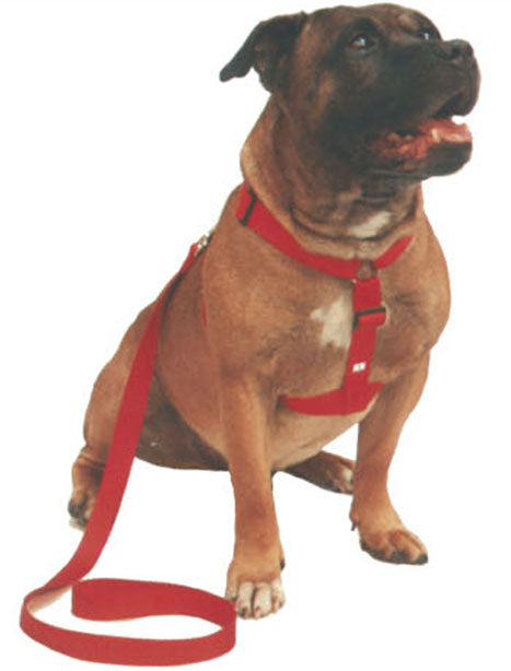 Beau Pets Walking Harness - Red, Size 1