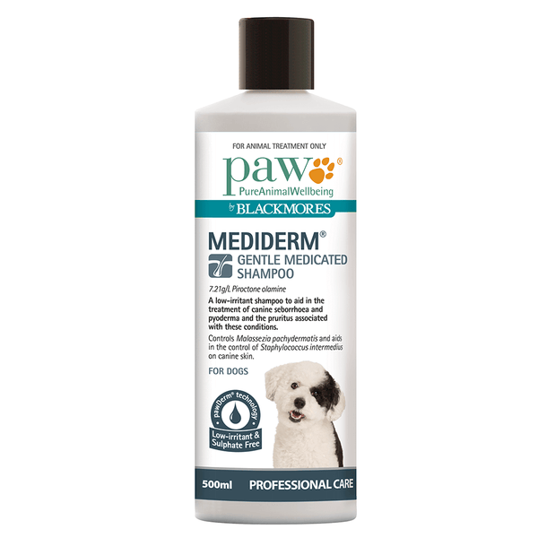 Blackmores Mediderm Gentle Medicated Shampoo - 500ml